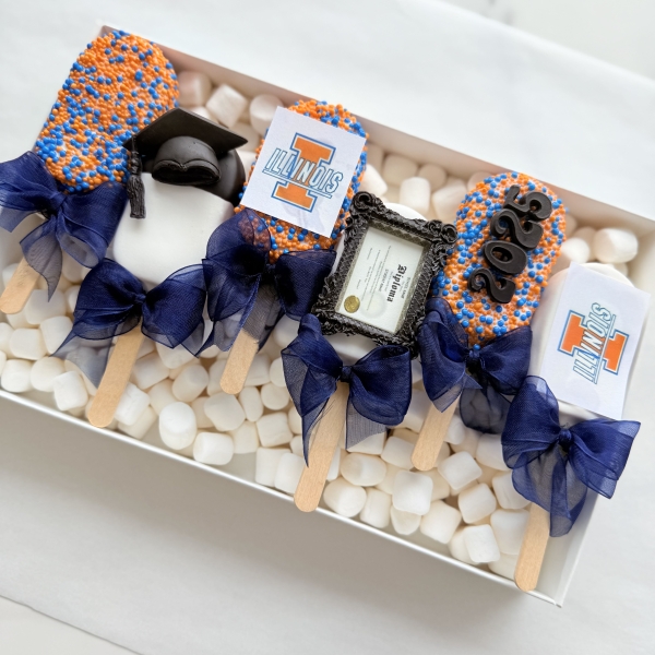 Graduation Cakesicles